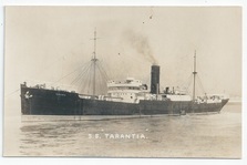 Tarantia front