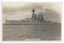 Tiger front