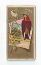 Crossbill front