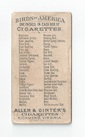 Crossbill back