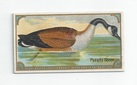 Canada Goose front