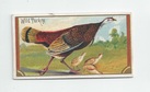 Wild Turkey front