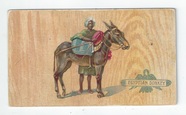 Egyptian Donkey front