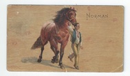 Norman front