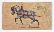 Percheron front
