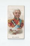 Wellington front