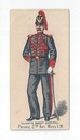 #135 front