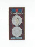 New Zealand front