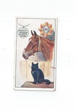 Cheshire front