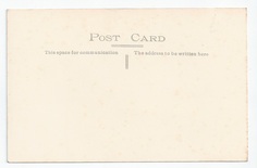 Vidette back
