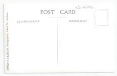 Vidette back