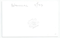 Wanderer back