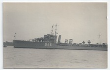 Wolfhound front