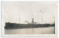 Parthenia front