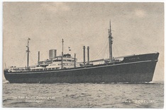 Morelia front