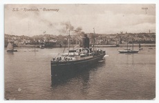 Roebuck front