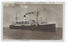 Antonio Delfino front