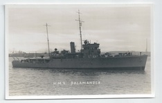 Salamander front