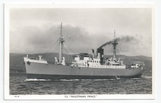 Palestinian Prince front