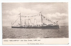 Melampus front