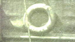 Diadem close-up