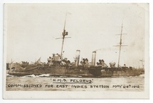 Pelorus front