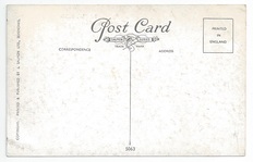 Reina del Pacifico back