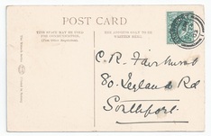 Holland 2 back