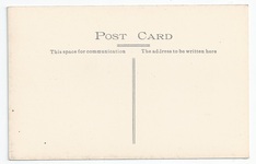 L53 back