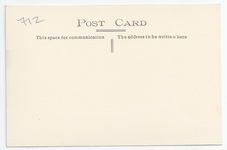 L54 back