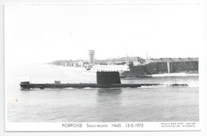 Porpoise front