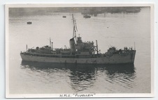 Fluellen front